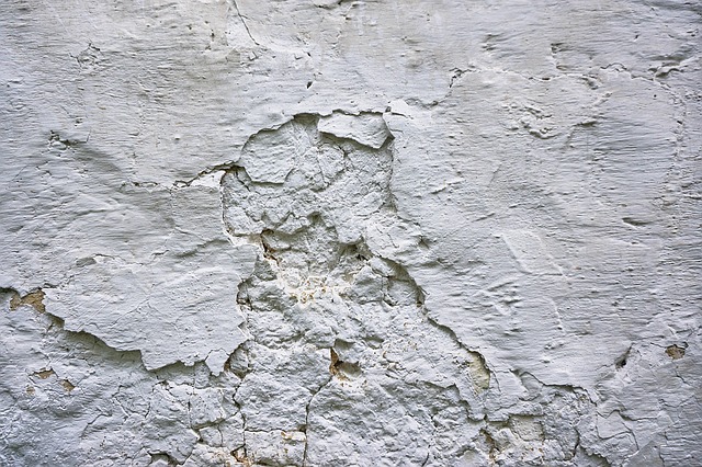 Vlhká a zasolená zeď obsahuje nežádoucí plíseň.
